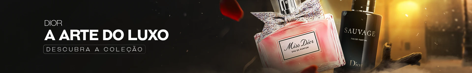 BANNERs FINOS - DIOR